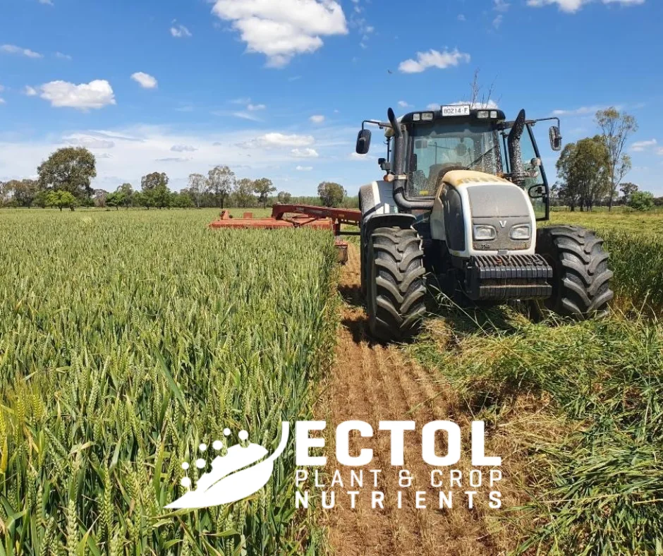 ECTOL tractor working in a green crop